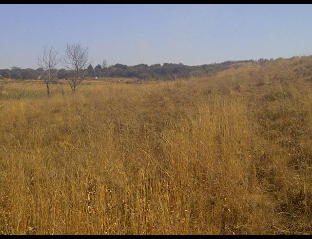 1,939HA FARM FOR SALE IN LEEUPORT